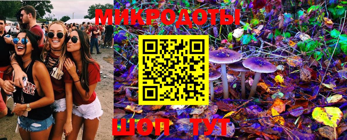 Псилоцибиновые грибы ЛСД Тула